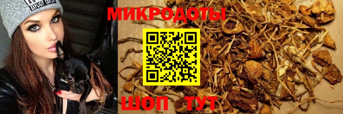 Клин  Псилоцибиновые грибы MAGIC MUSHROOMS  Вход с VPN  Галлюциногенные грибы ЛСД 
